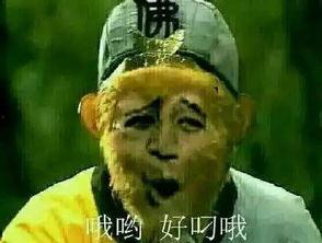 孙悟空吃瓜表情包是什么意思