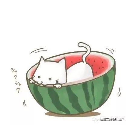 吃瓜群众百科百度